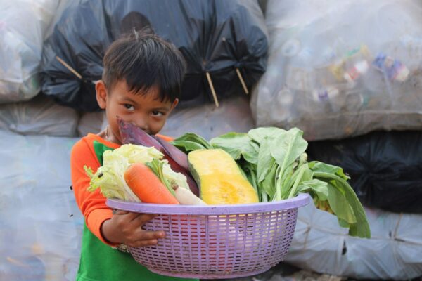 Little boy with basket of produce