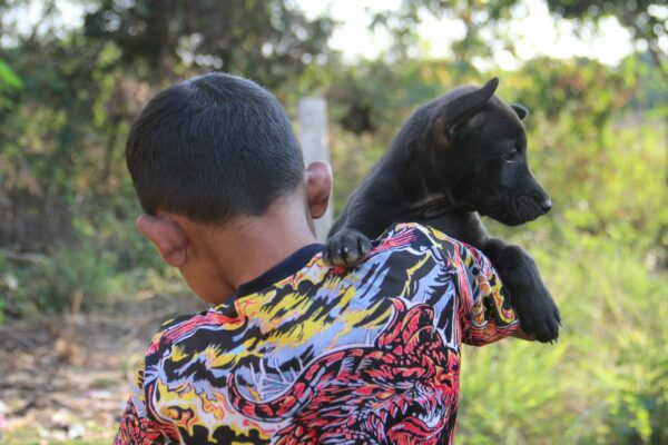 Boy holding a black puppy