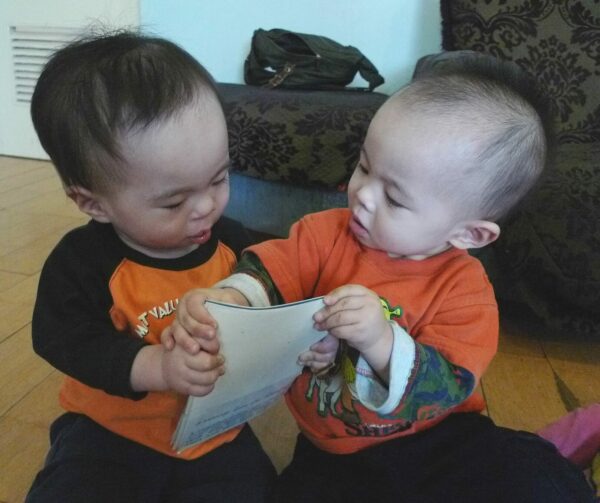 Twin baby boys in rust shirts holding the same photo