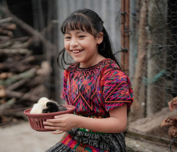 A girl in a Guatemalan dress holds a basket of several chicks