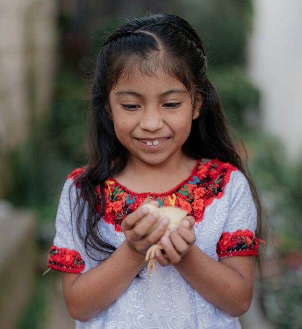 Guatemalan girl looking at a baby chick