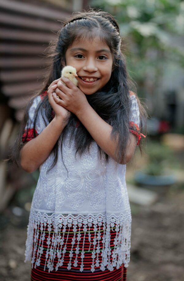 Guatemalan girl in a white tunic holds a yellow baby chick