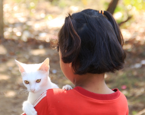 Young girl in red holding a white cat