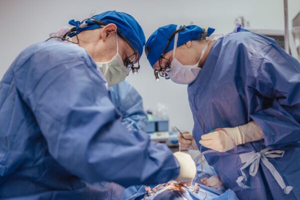 Two surgeons performing cleft surgery